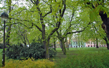 Картинка природа