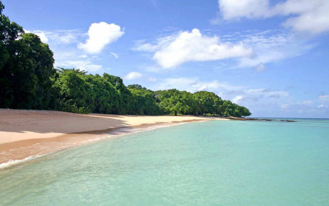 Обои картинки фото природа