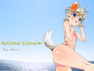 Картинка аниме kanokon