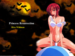 Картинка аниме monster princess