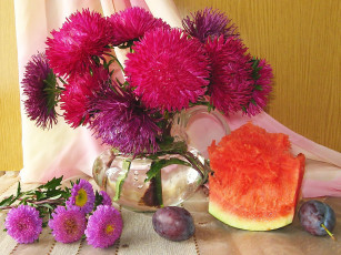 Картинка цветы астры