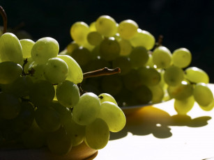 Картинка еда виноград