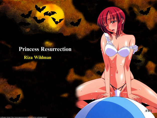 Обои картинки фото аниме, monster, princess