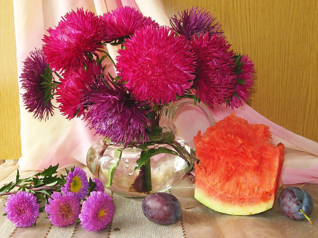 Обои картинки фото цветы, астры