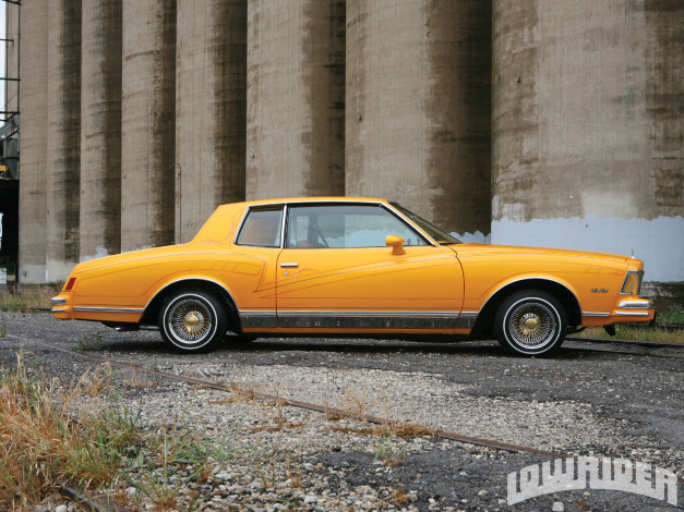 Обои картинки фото автомобили, chevrolet, monte, carlo, chevy