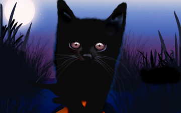 Картинка рисованные животные коты уши глаза