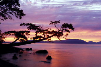 Картинка природа реки озера камни озеро дерево закат