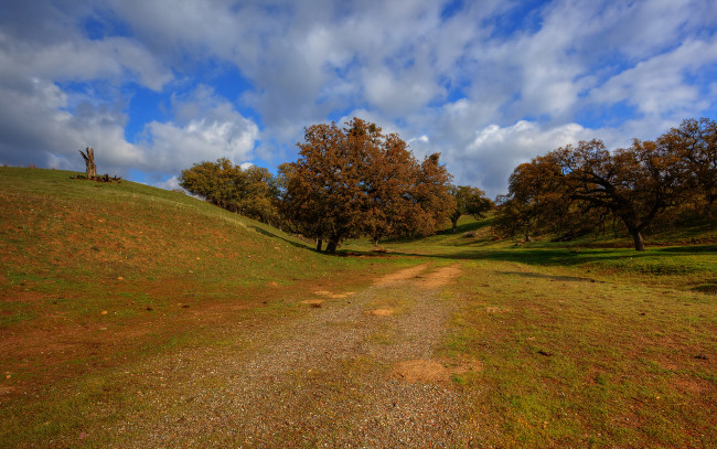 Обои картинки фото природа, дороги, дорога, холмы, дерево