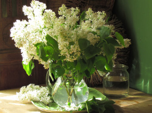 Картинка цветы сирень букет