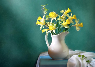 Картинка цветы нарциссы кувшин