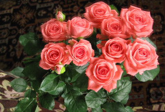 Картинка цветы розы букет