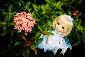 Картинка разное игрушки кукла