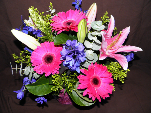 Обои картинки фото цветы, букеты,  композиции, герберы, лилии, букет