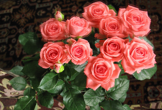 Обои картинки фото цветы, розы, букет