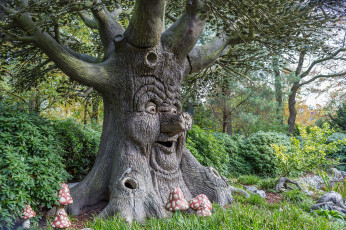 Картинка природа деревья дерево сказка