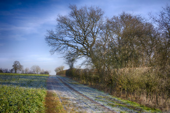 Картинка природа дороги поле тракт