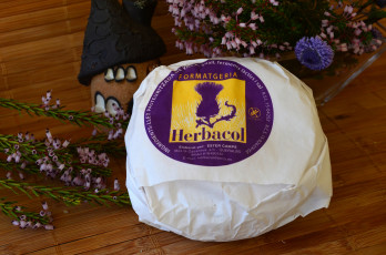 Картинка formatge+tendre еда сырные+изделия сыр