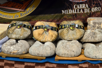 Картинка la+flor+de+guara еда сырные+изделия сыр