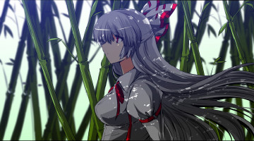 Картинка аниме touhou девушка арт nekominase fujiwara no mokou листья бамбук