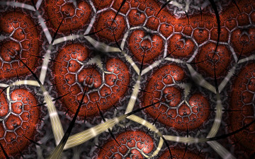 Картинка 3д+графика фракталы+ fractal цвета фон узор