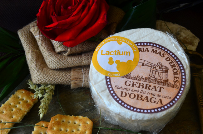 Обои картинки фото gebrat d’obaga, еда, сырные изделия, сыр