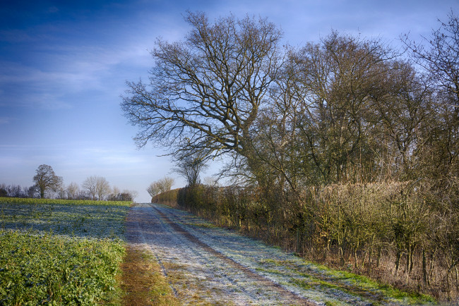 Обои картинки фото природа, дороги, поле, тракт