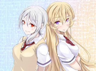 Картинка аниме shokugeki+no+soma девушки повара