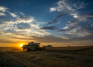 Картинка техника комбайны рассвет