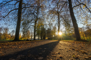 Картинка природа восходы закаты рассвет