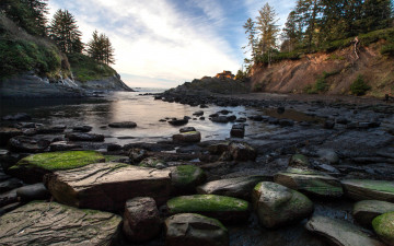 Картинка природа реки озера мох деревья камни река