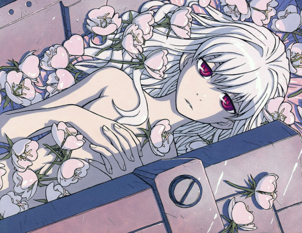 Обои картинки фото аниме, darker than black, темнее, чёрного