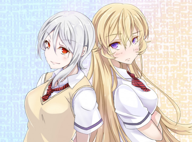 Обои картинки фото аниме, shokugeki no soma, девушки, повара