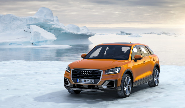 Обои картинки фото автомобили, audi, quattro, 2016г, q2, tfsi