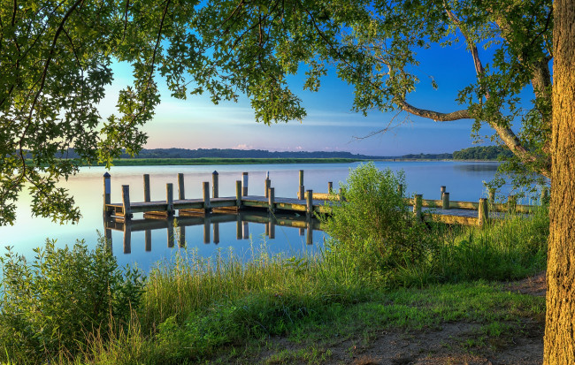 Обои картинки фото природа, реки, озера, лес, река