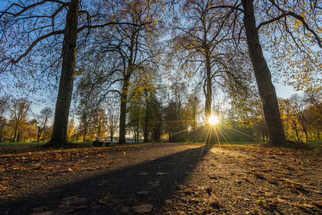 Обои картинки фото природа, восходы, закаты, рассвет