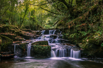 Картинка природа водопады водопад лес река