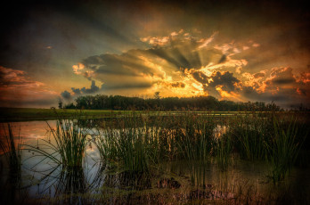 Картинка природа реки озера лес река