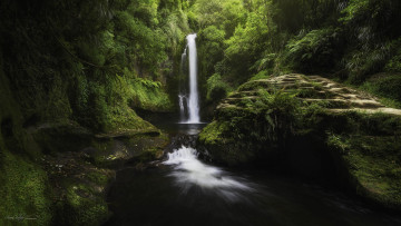Картинка природа водопады лес водопад река