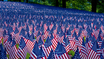 Картинка разное флаги +гербы много америка