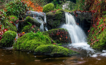 Картинка природа водопады лес водопад река
