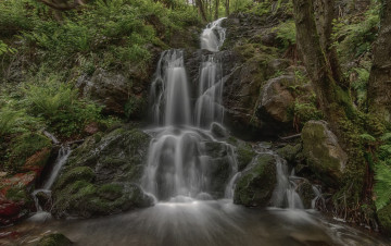 Картинка природа водопады река водопад лес