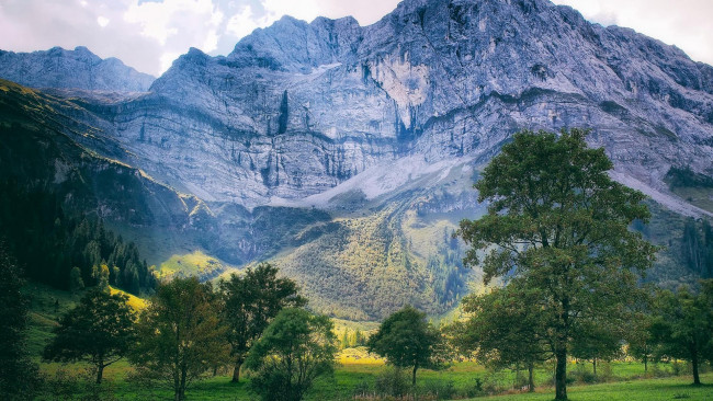 Обои картинки фото природа, горы, деревья, холмы, поле, пейзаж