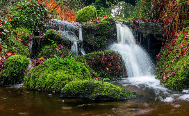 Обои картинки фото природа, водопады, лес, водопад, река