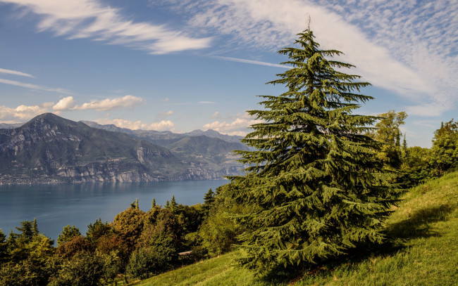 Обои картинки фото природа, реки, озера, lake, garda, италия, горы, озеро