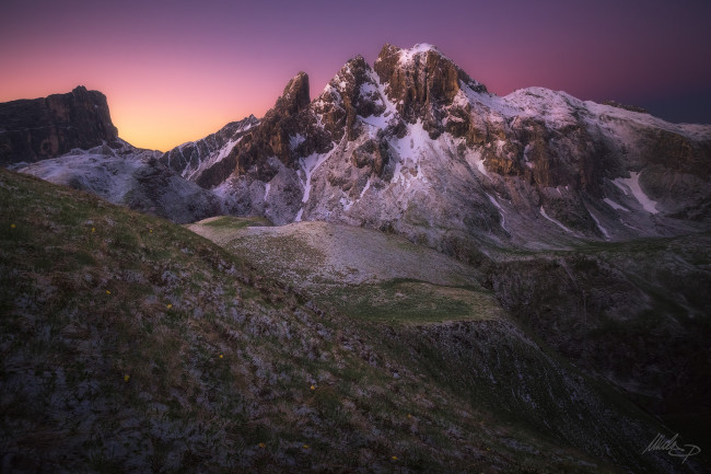 Обои картинки фото природа, горы, цветы, трава, скалы, снег