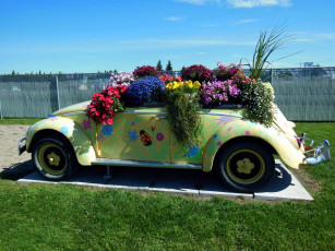 Картинка цветы разные+вместе оригинальная клумба