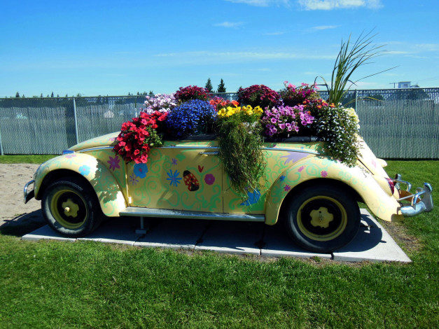 Обои картинки фото цветы, разные вместе, оригинальная, клумба