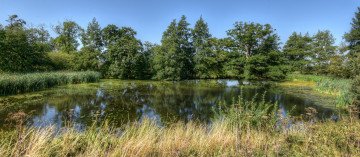 Картинка природа реки озера простор