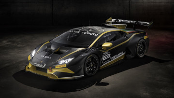 обоя 2019 lamborghini huracan super trofeo evo collector edition, автомобили, lamborghini, 2019, huracan, super, trofeo, evo, collector, edition, ламборджини, коллекционное, издание, суперкар