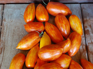 Картинка еда помидоры томаты